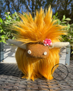 Highland Cows limited